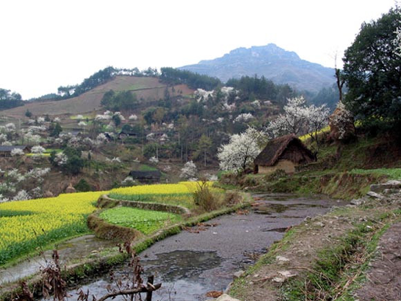 Several day's walk from the nearest city, this mountain village greeted my eyes with the early color of Spring.
