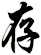 存