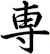 専