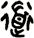 道