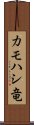 カモハシ竜 Scroll