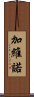 Gabino Scroll