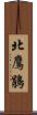 北鷹鵑 Scroll