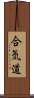 Aikido Scroll