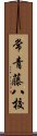 常青藤八校 Scroll