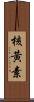 核黃素 Scroll