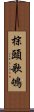 棕頭歌鴝 Scroll