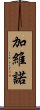 Gabino Scroll