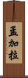 孟加拉 Scroll