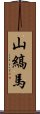 山縞馬 Scroll