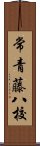 常青藤八校 Scroll