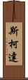 斯柯達 Scroll