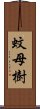 蚊母樹 Scroll