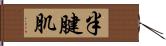 半腱肌 Hand Scroll