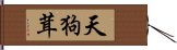 天狗茸 Hand Scroll