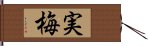 実梅 Hand Scroll