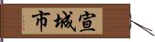 宣城市 Hand Scroll