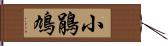 小鵑鳩 Hand Scroll