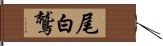 尾白鷲 Hand Scroll