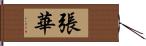 張華 Hand Scroll