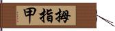 拇指甲 Hand Scroll