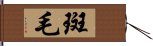 斑毛 Hand Scroll