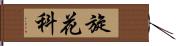 旋花科 Hand Scroll