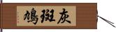 灰斑鳩 Hand Scroll