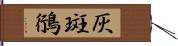 灰斑鴴 Hand Scroll