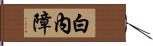 白內障 Hand Scroll