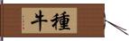 種牛 Hand Scroll