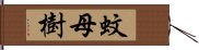 蚊母樹 Hand Scroll