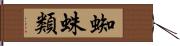 蜘蛛類 Hand Scroll