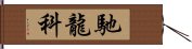 馳龍科 Hand Scroll