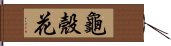 龜殼花 Hand Scroll