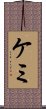 Kami Scroll