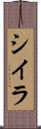 シイラ Scroll