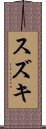 Suzuki Scroll