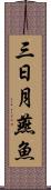 三日月燕魚 Scroll