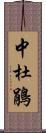 中杜鵑 Scroll