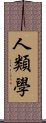 人類學 Scroll