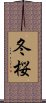 冬桜 Scroll