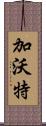 加沃特 Scroll