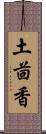 土茴香 Scroll