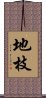 地枝 Scroll