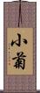 小菊 Scroll