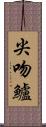 尖吻鱸 Scroll