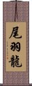 尾羽龍 Scroll