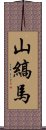 山縞馬 Scroll