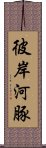 彼岸河豚 Scroll